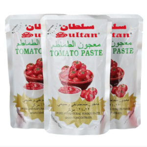 Tomate double concentrée SALSA 70g